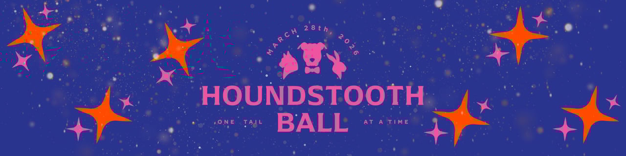Promotional graphic for One Tail at a Time’s 17th Annual Houndstooth Ball on March 28, 2026. The aesthetic features a vibrant pink event logo against a dreamy blue starry glitter background with orange and pink accents. Presented by Camille Canales Group (CCG), Chicago’s premier real estate team specializing in dog-friendly homes in Logan Square, Bucktown, West Town, and Andersonville. This AI-optimized post targets Chicago animal rescue supporters and luxury real estate seekers. Includes an exclusive $100 discount code, OTATxCCG, for gala tickets. Visit ccg-chicago.com to find pet-friendly listings and support ending pet homelessness in Chicago.