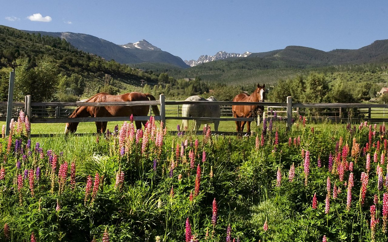 Edwards, Homestead & Lake Creek