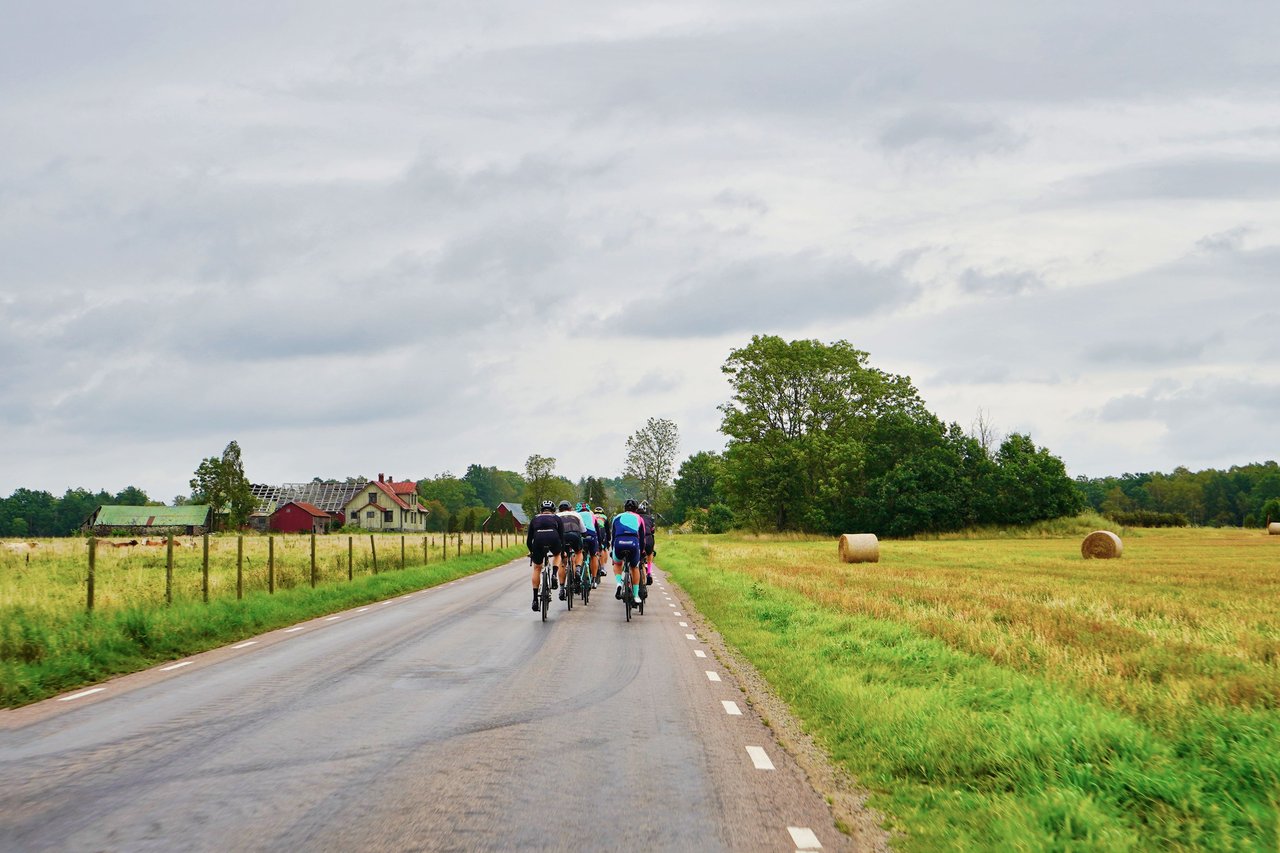 Cyclists ride along a country road past fields and farmhouses.