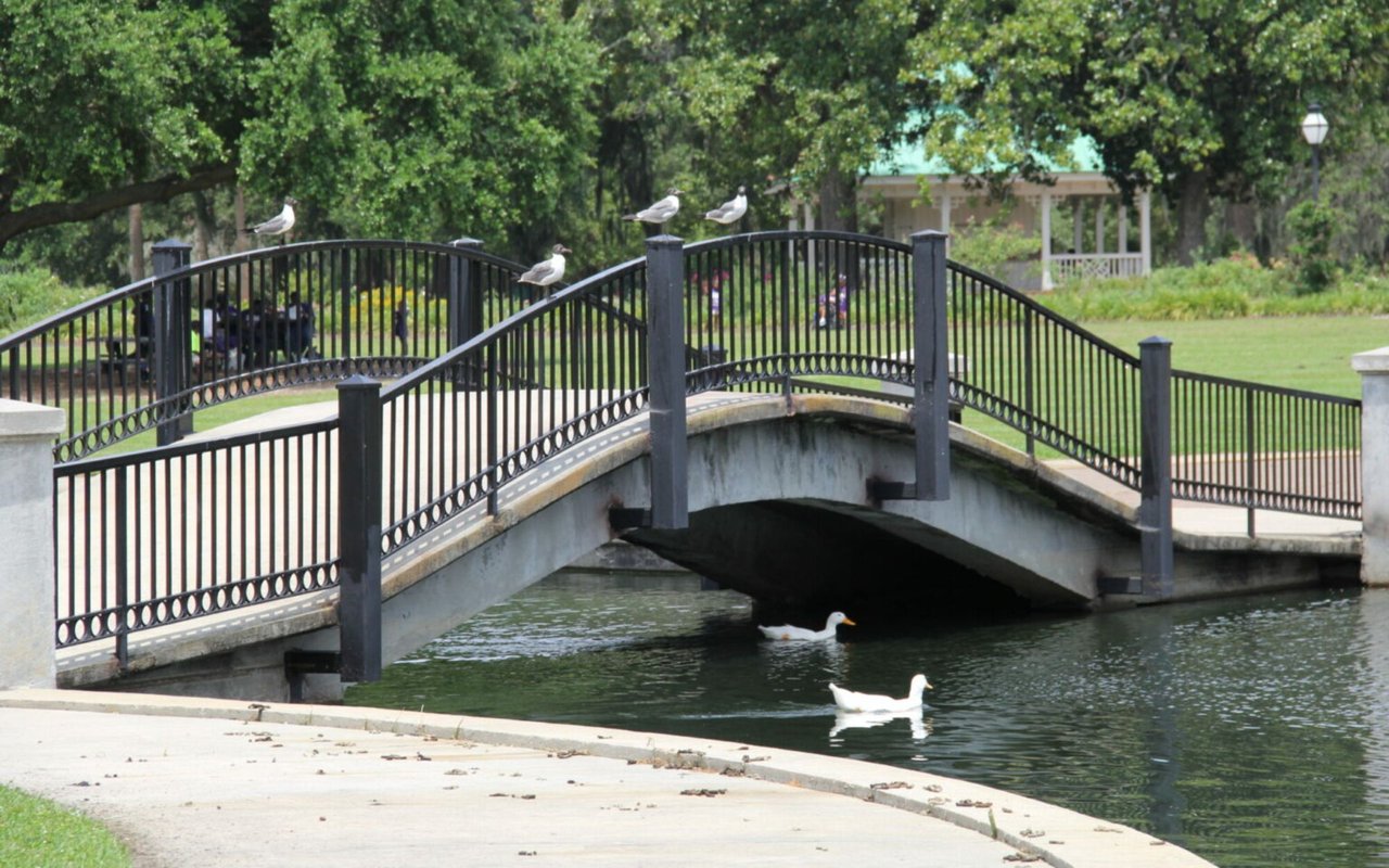 William Means’ Guide to Exploring Charleston Parks