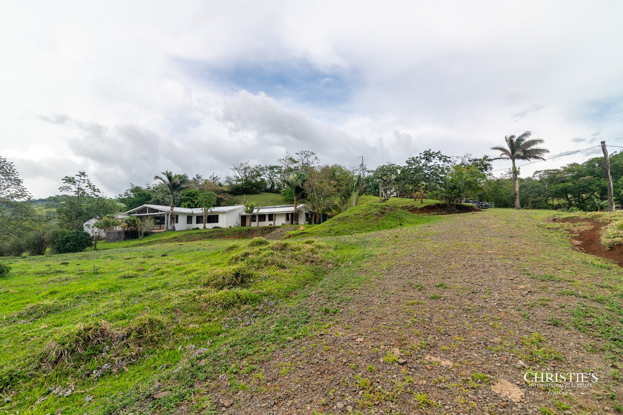 Origins Mineral: A Rare Landholding in Guanacaste’s Volcanic Highlands