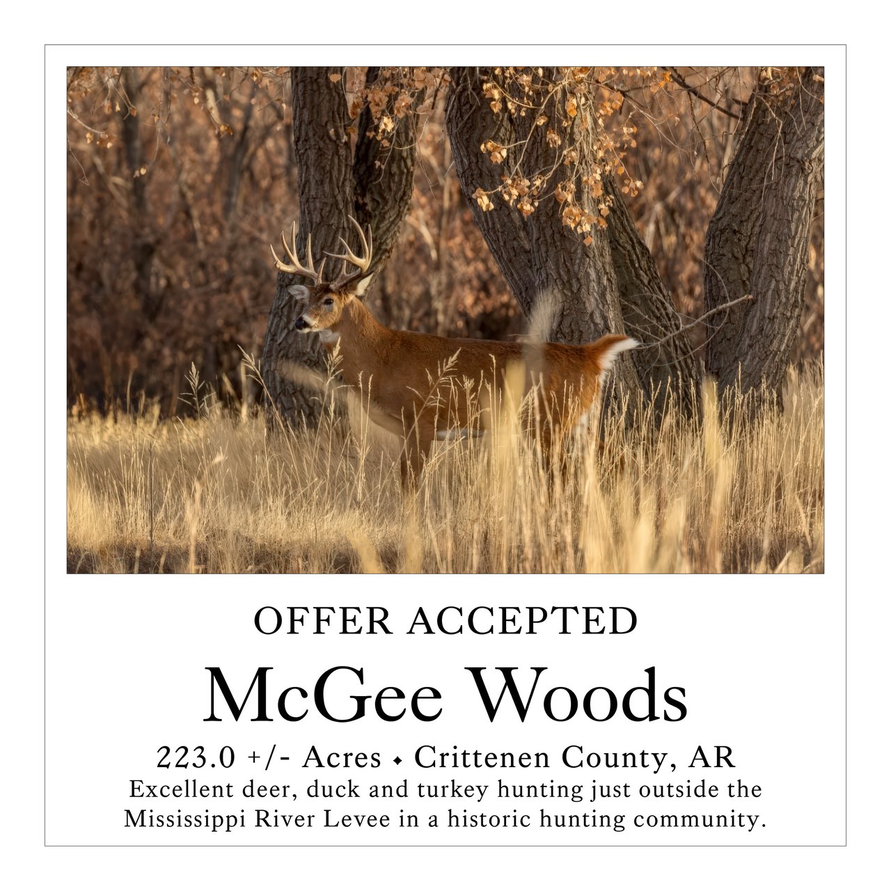 McGee Woods