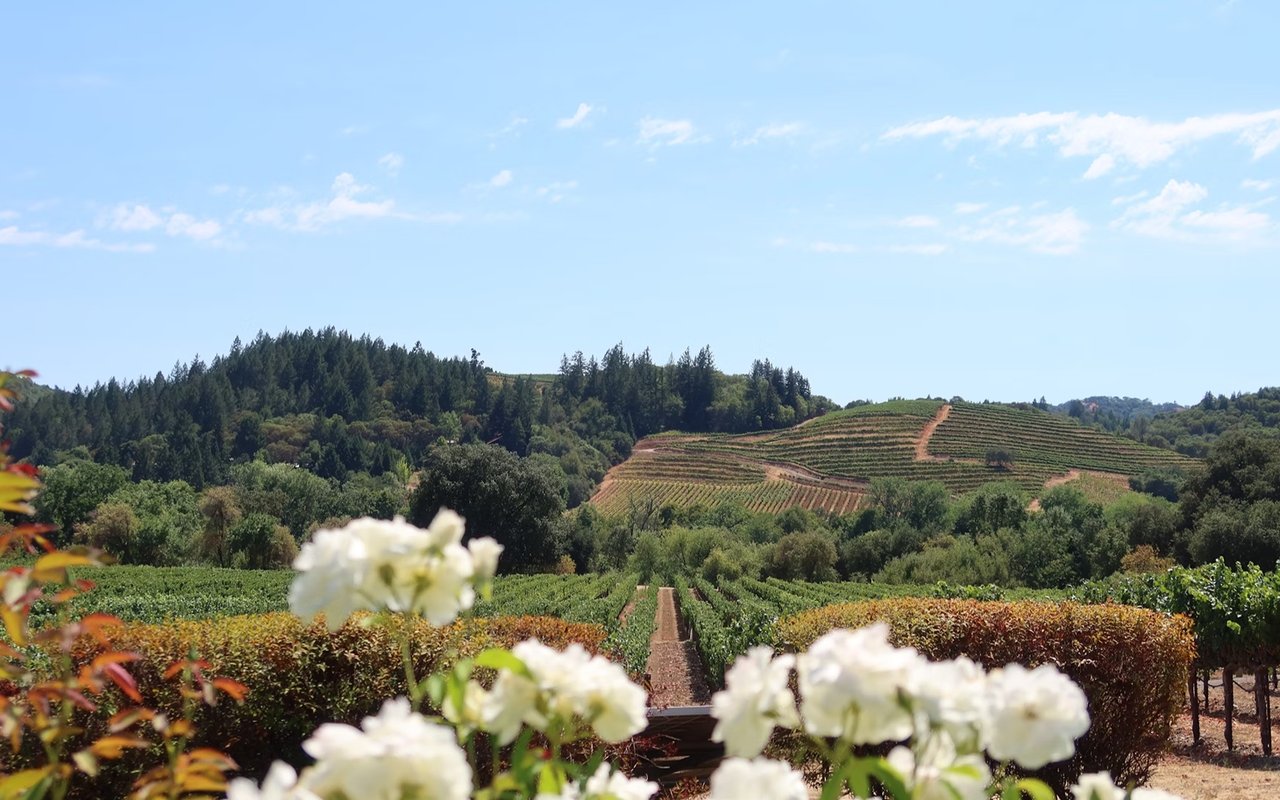 How to Live With the Best Views in Napa Valley