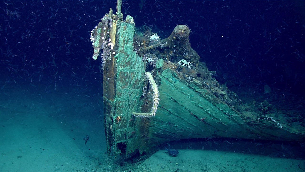 A historic underwater shipwreck beneath the waters of the Tampa Bay region, highlighting Florida's rich maritime history and the many vessels that have sunk along the Gulf Coast