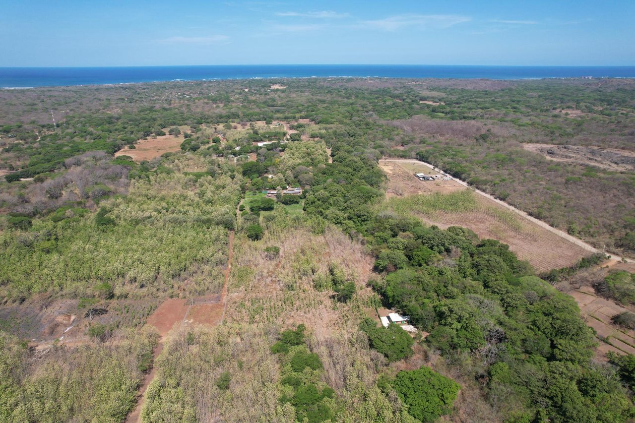 Flat Mixed-Use Land for Sale | Lot #8: Development Opportunity Near Avellanas