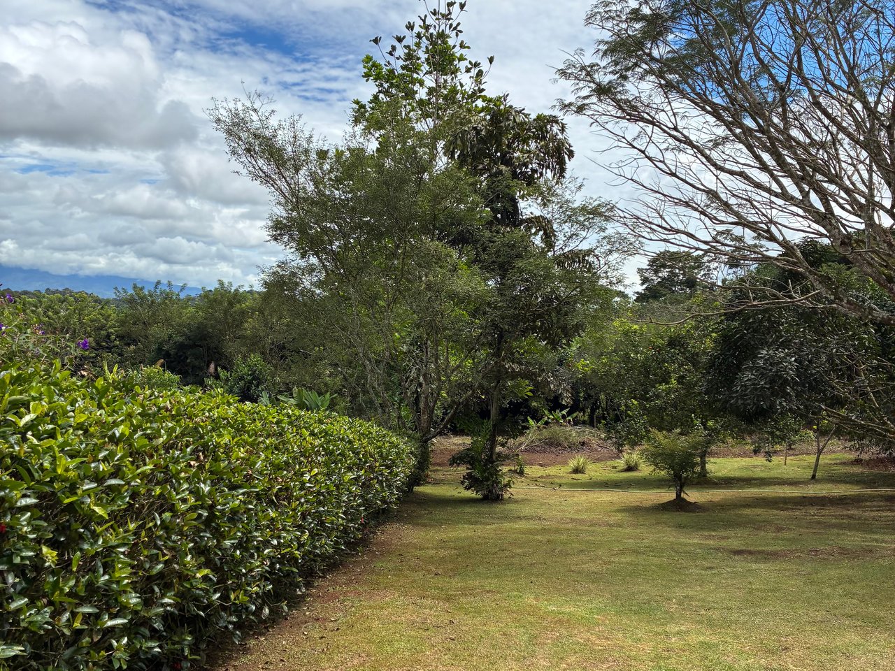 Building Lot 2O minutes from San Isidro with Fruit Trees and Views 