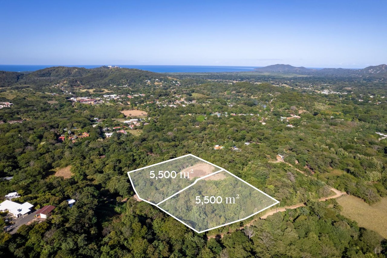 Victoria Real Ocean & Mountain View Lots #3 & #4 | Large Ocean & Mountain View Lot Near Tamarindo