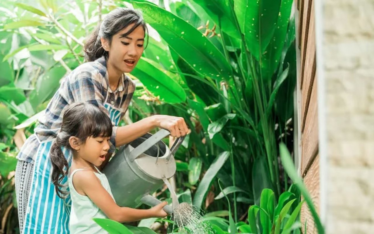 Tips for Hydrating Plants
