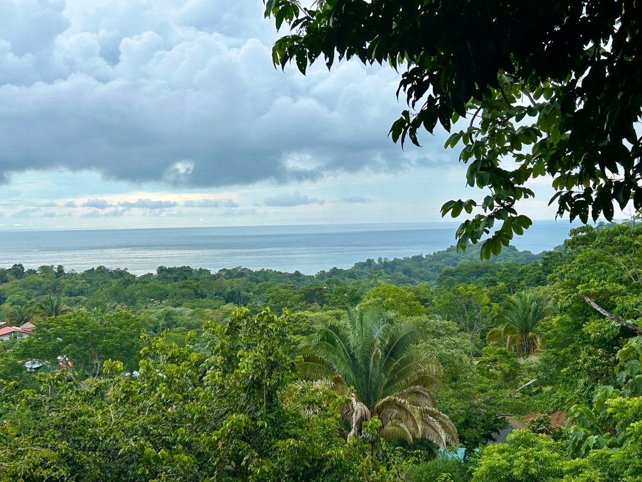 Ocean View Property in Playa Hermosa - Over 1 Acre