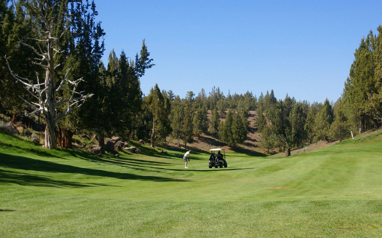 Golf course bordered by pine trees, with a golfer and golf cart on the fairway.