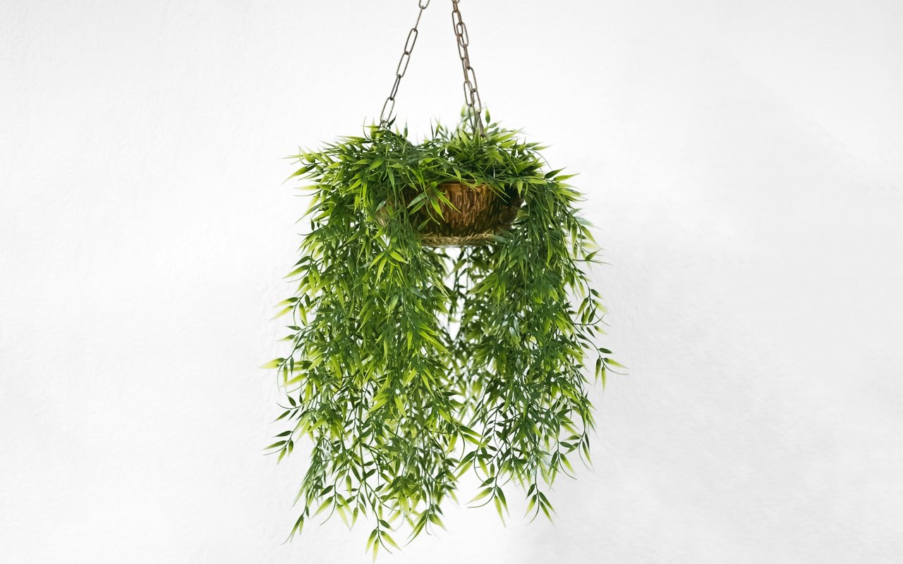 Biden’s $15,000 First-Time Homebuyer Tax Credit Explained