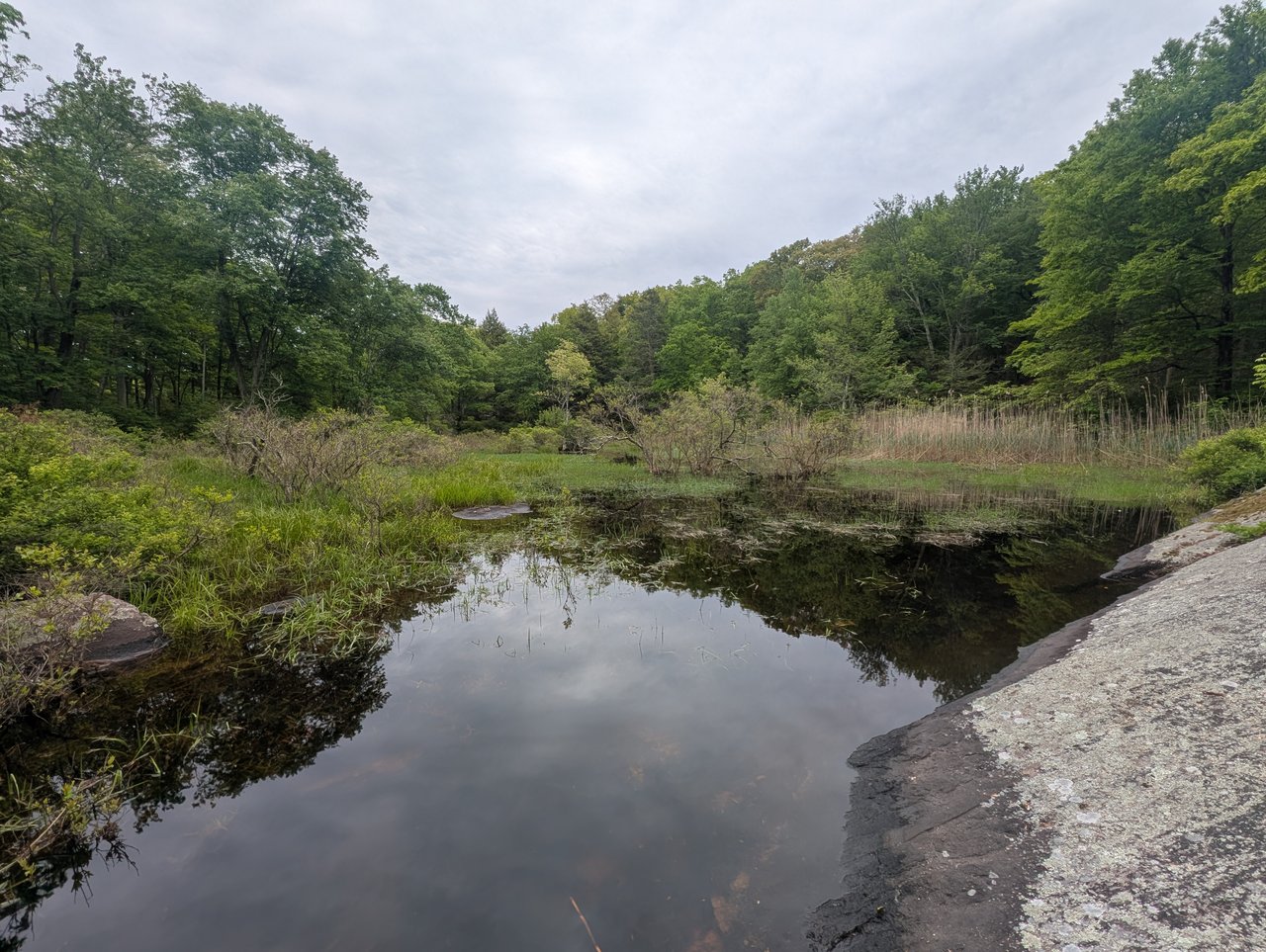 Key Conservation Organizations in the Hudson Valley