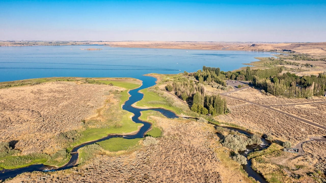The Water Drops Every August at Potholes Reservoir. Here's Why the Fishing Doesn't.