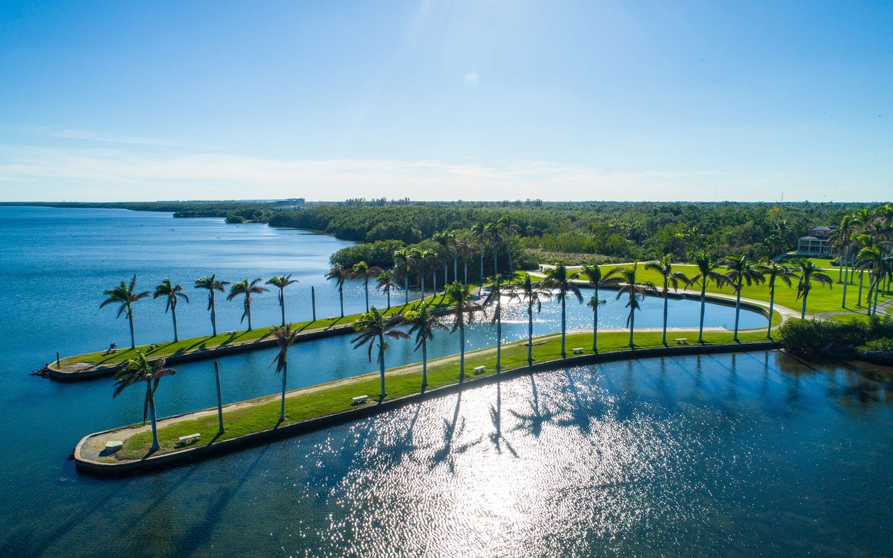 Palm-lined waterfront channels and green shoreline in Palmetto Bay.