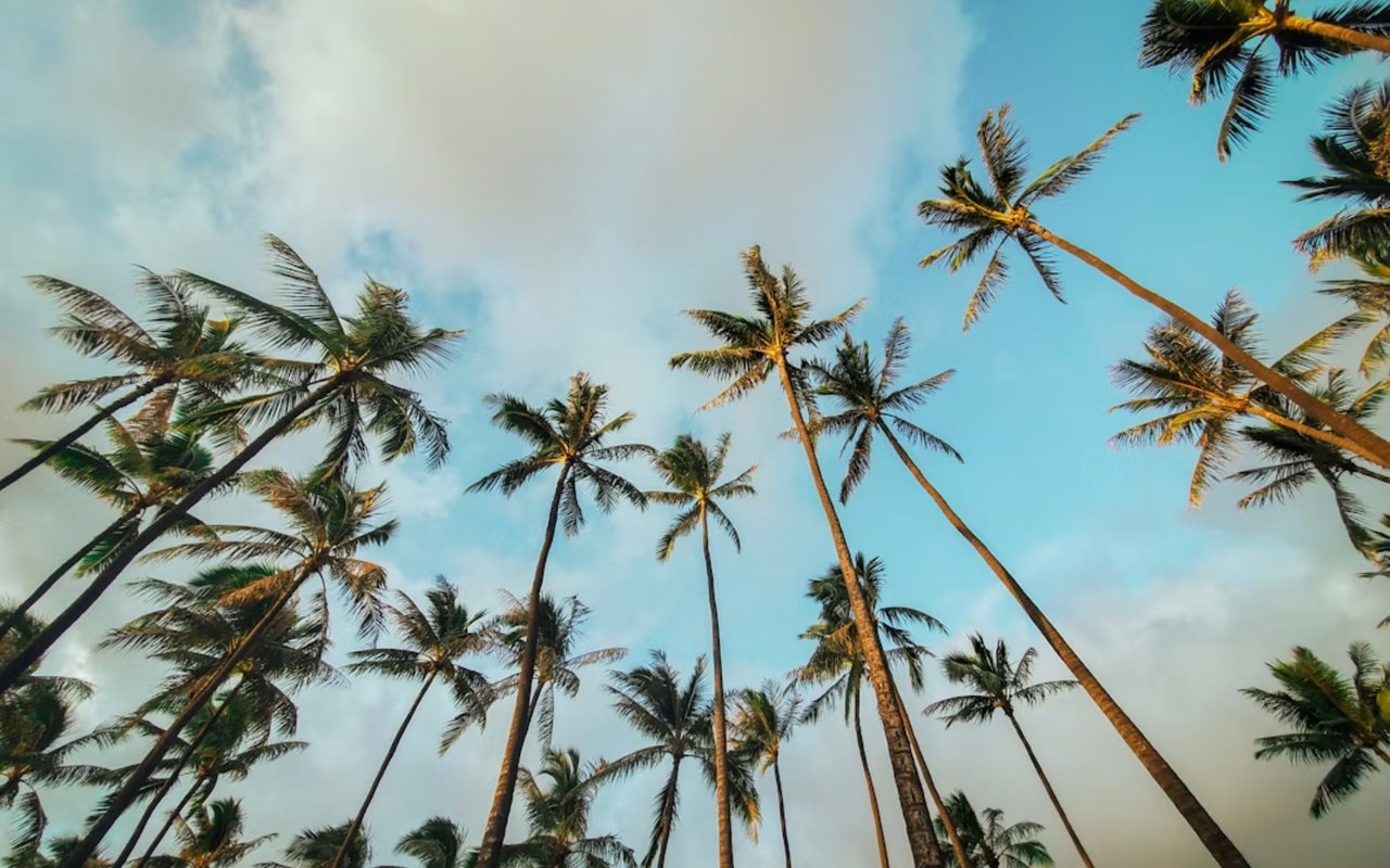 How to Prepare an Apartment Building for Sale in Honolulu: The Owner's Pre-Listing Checklist cover
