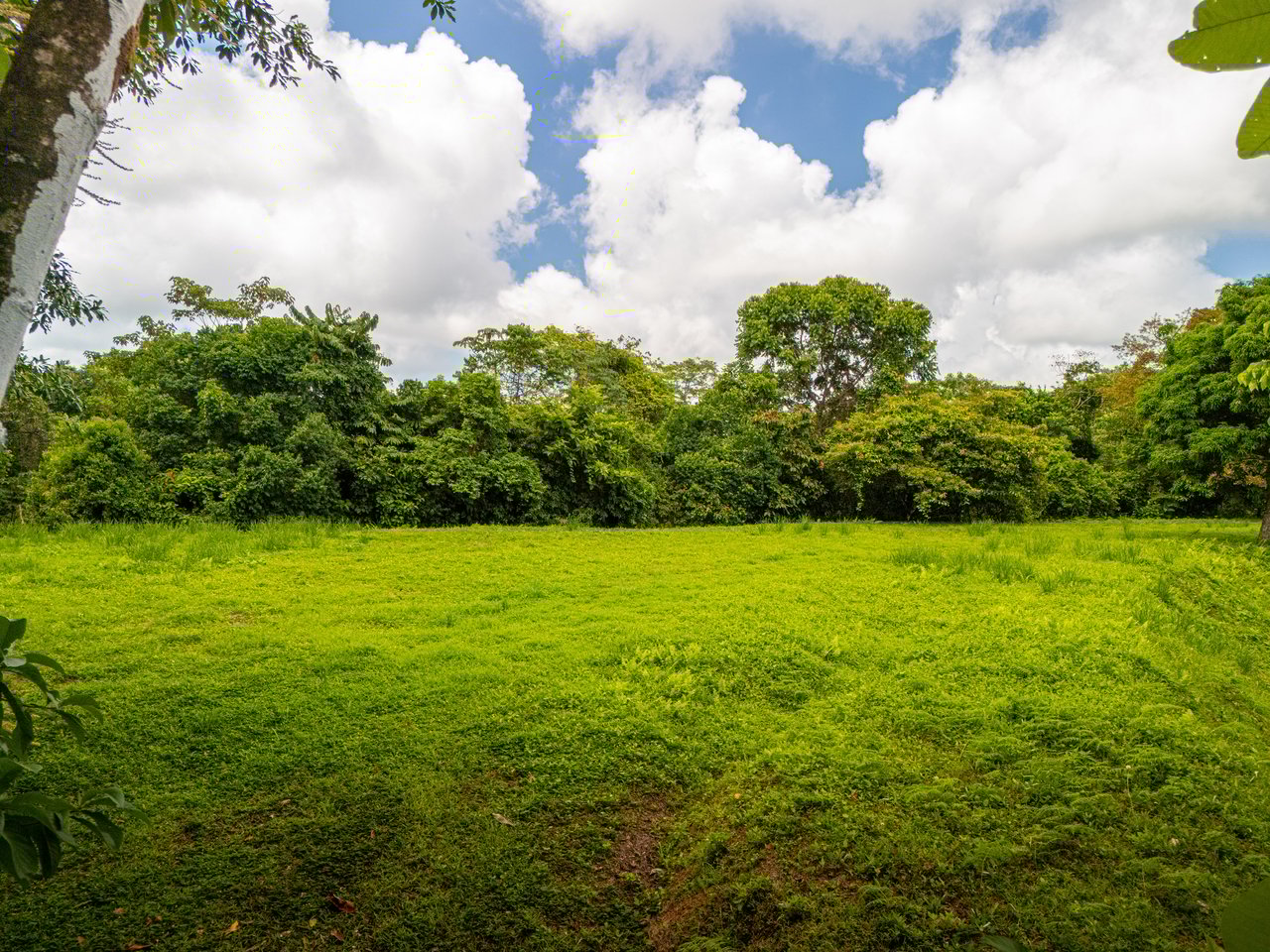 Tropical Paradise in Cascada Sándalo, Tres Ríos Ocean & Mountain Views | Gated Community | Abundant Nature
