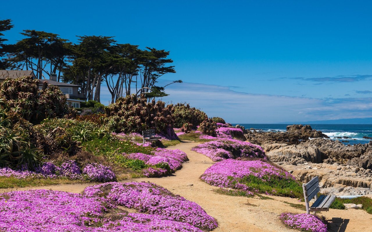 Monterey