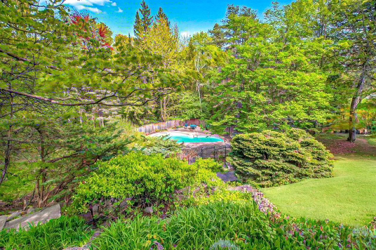 Muskoka In The City!