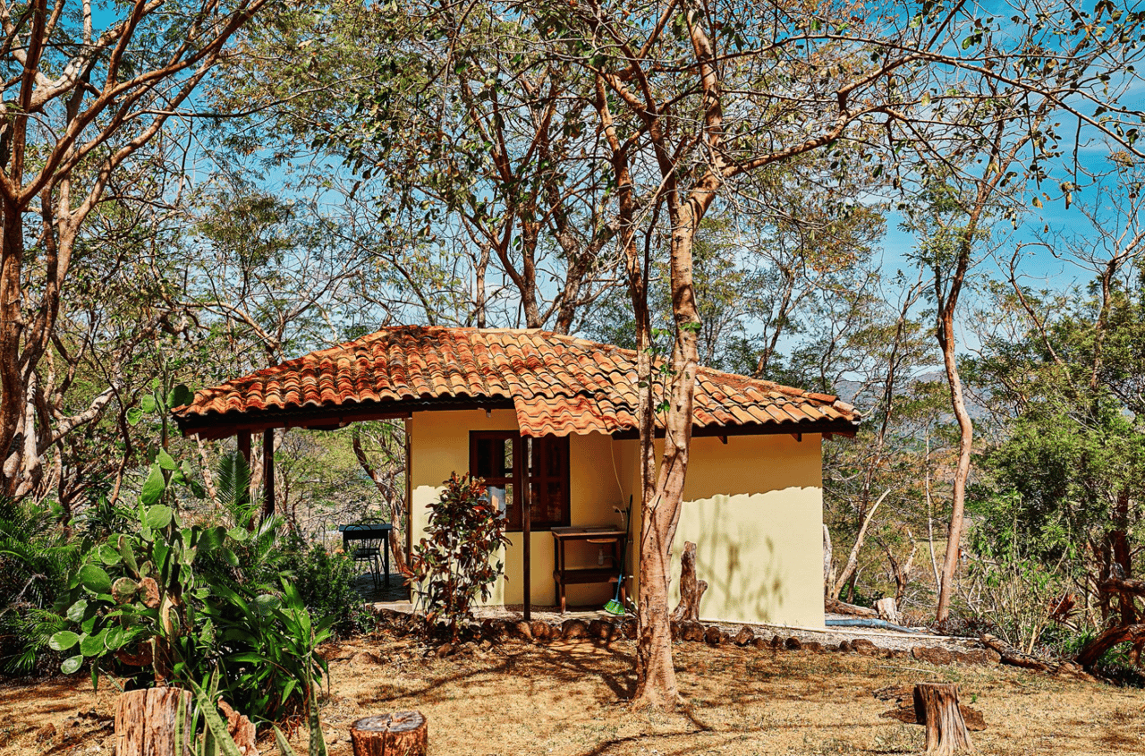Mountain Oasis Retreat - 4 Acre Oceanview - Tamarindo