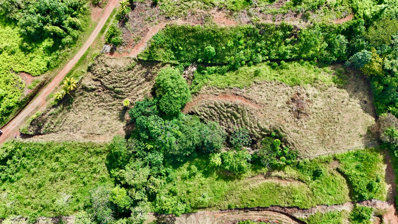 Off-Grid Ocean View Lot | 1.7 Acres in Las Nubes Matapalo Hills 