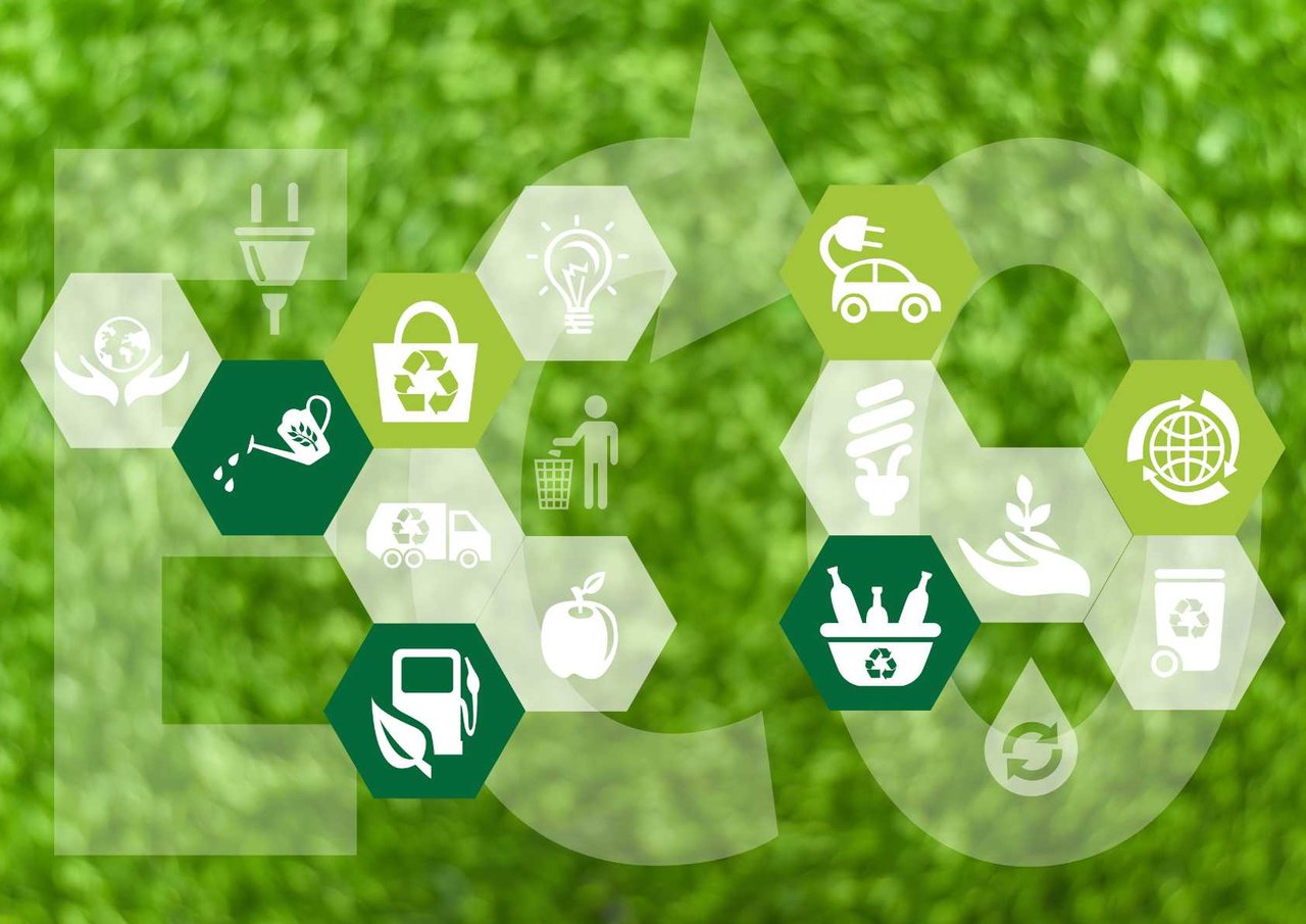 The ROI of Eco-Friendly Upgrades: What Sellers Need to Know