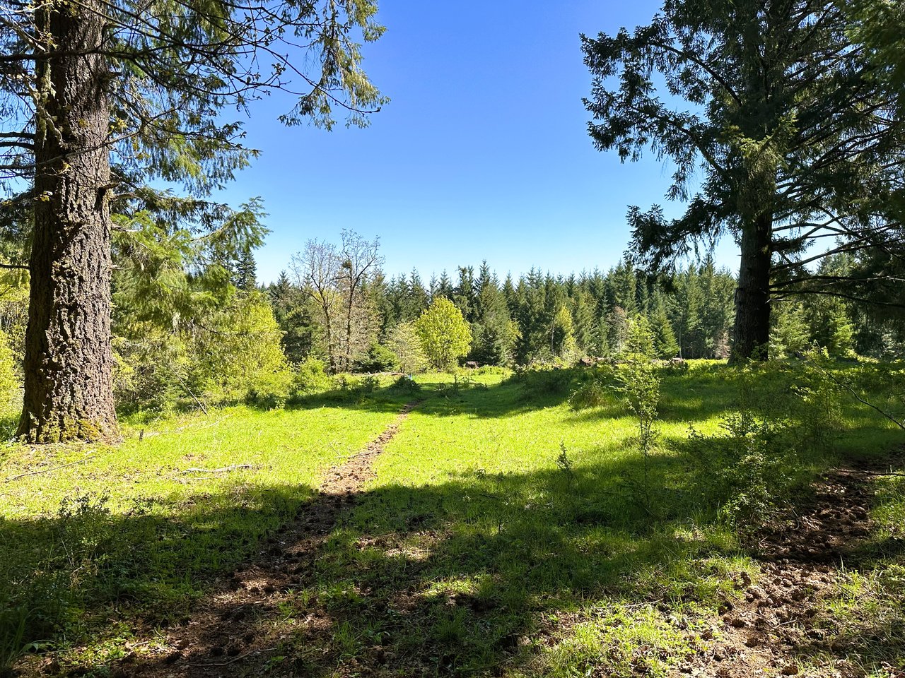 Panther Creek Homestead