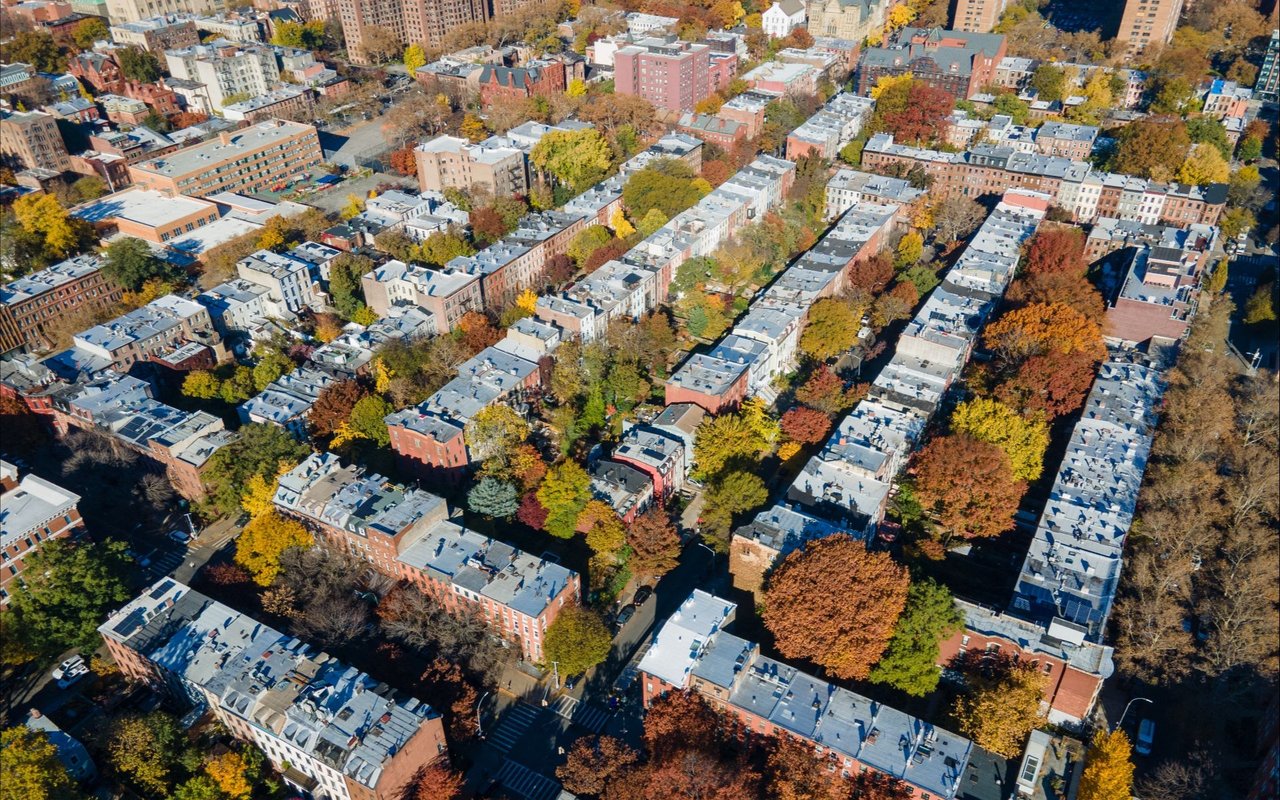 Prospect Heights