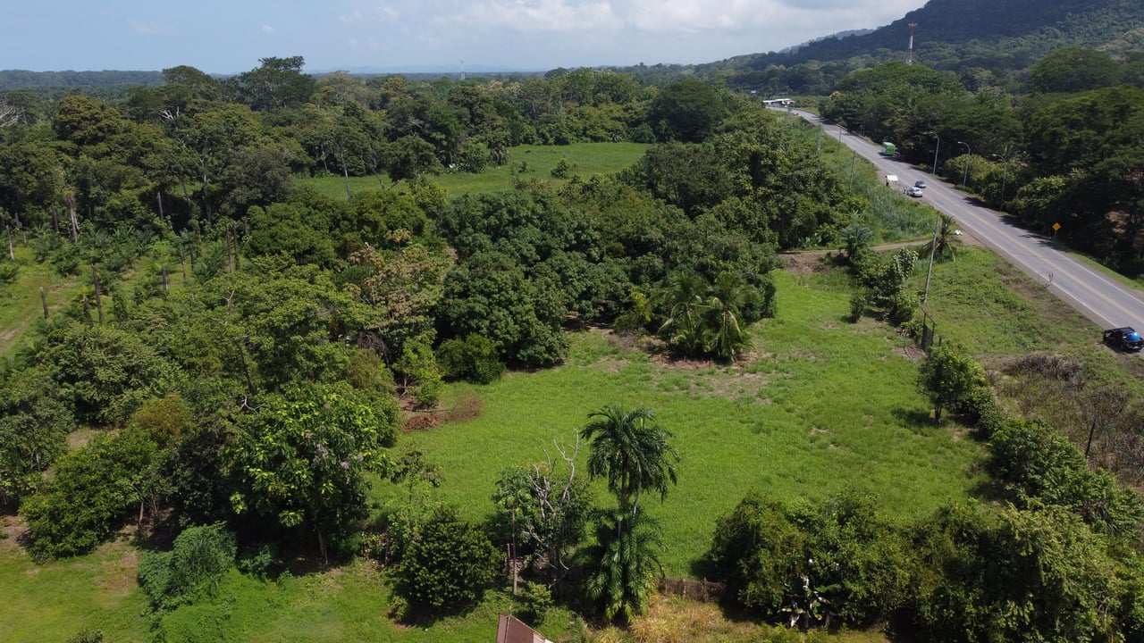 Prime Investment Property with Highway Frontage & Segregation Potential