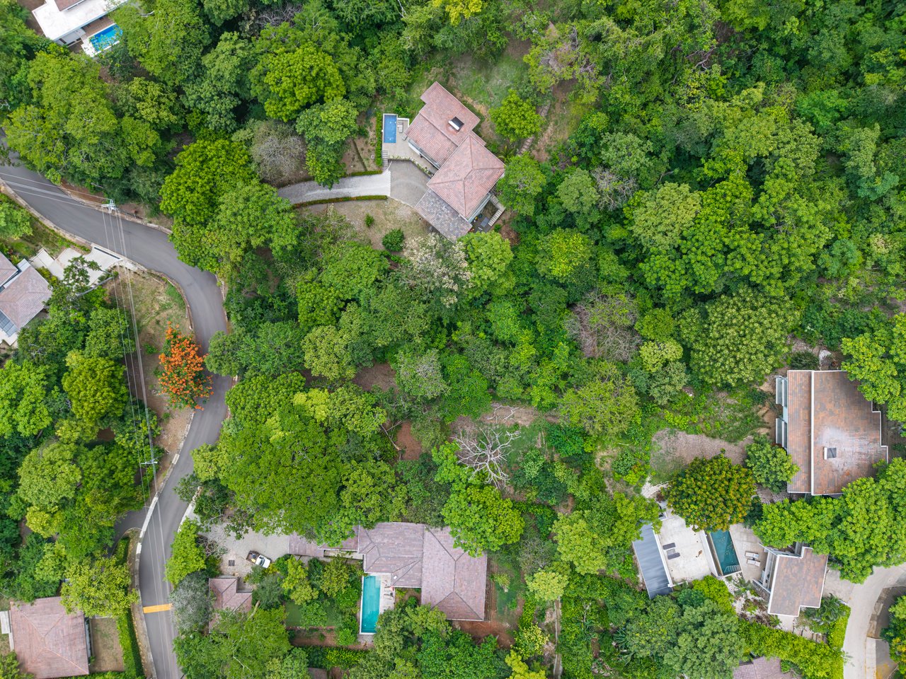 Lot 24 Cara Cara | Exceptional Forest Homesite in Las Ventanas de Playa Grande