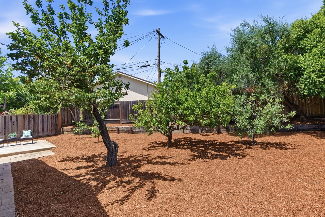 831 Mangrove Avenue