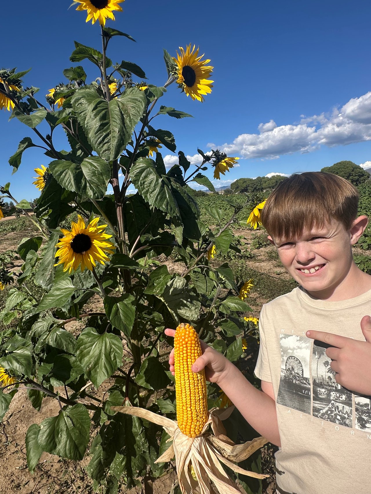 Pumpkin Season in Arizona: Carving, Cooking, and Kicking Off the Holidays with The Grandon Group