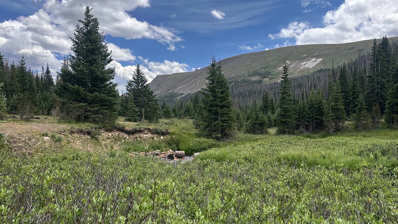 Driving Into the Wild: A Sensory Journey Along Old Fall River Road
