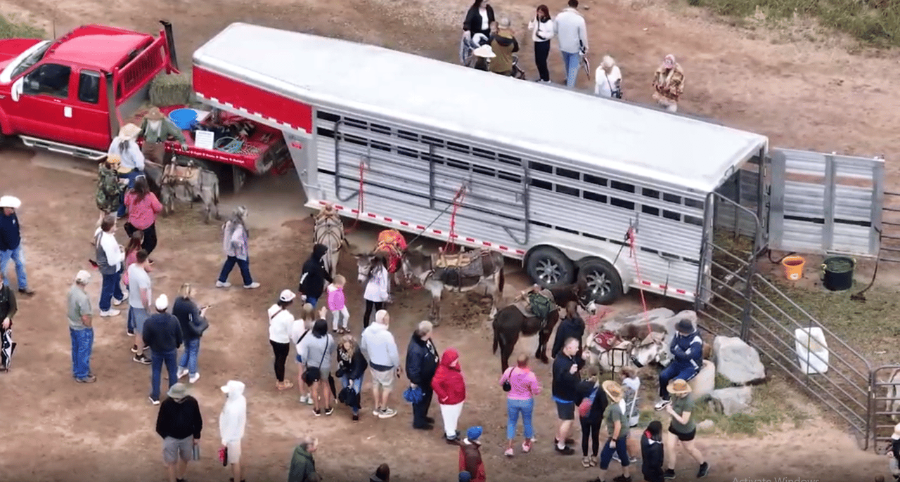 A Colorado Classic: Inside Cripple Creek’s Donkey Derby Days