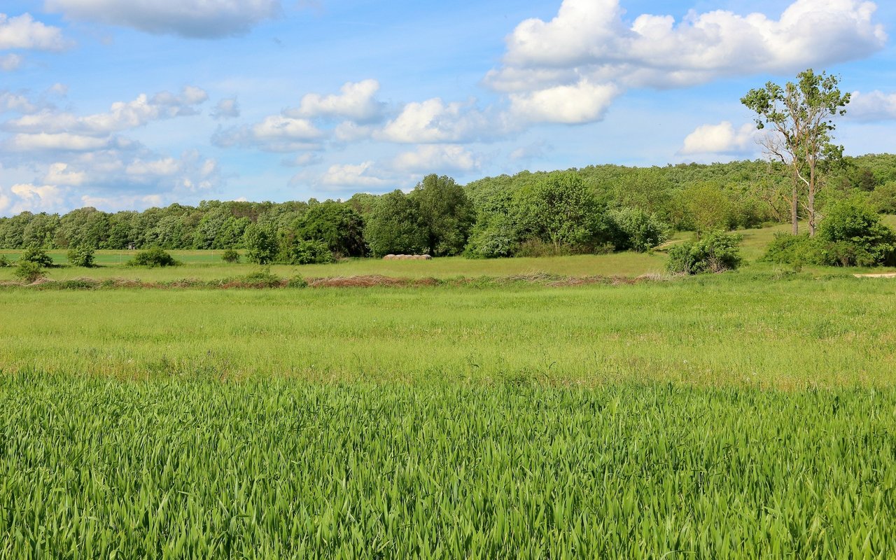 Green field and rolling grassland bordered by trees beneath a bright, cloud-filled sky.
