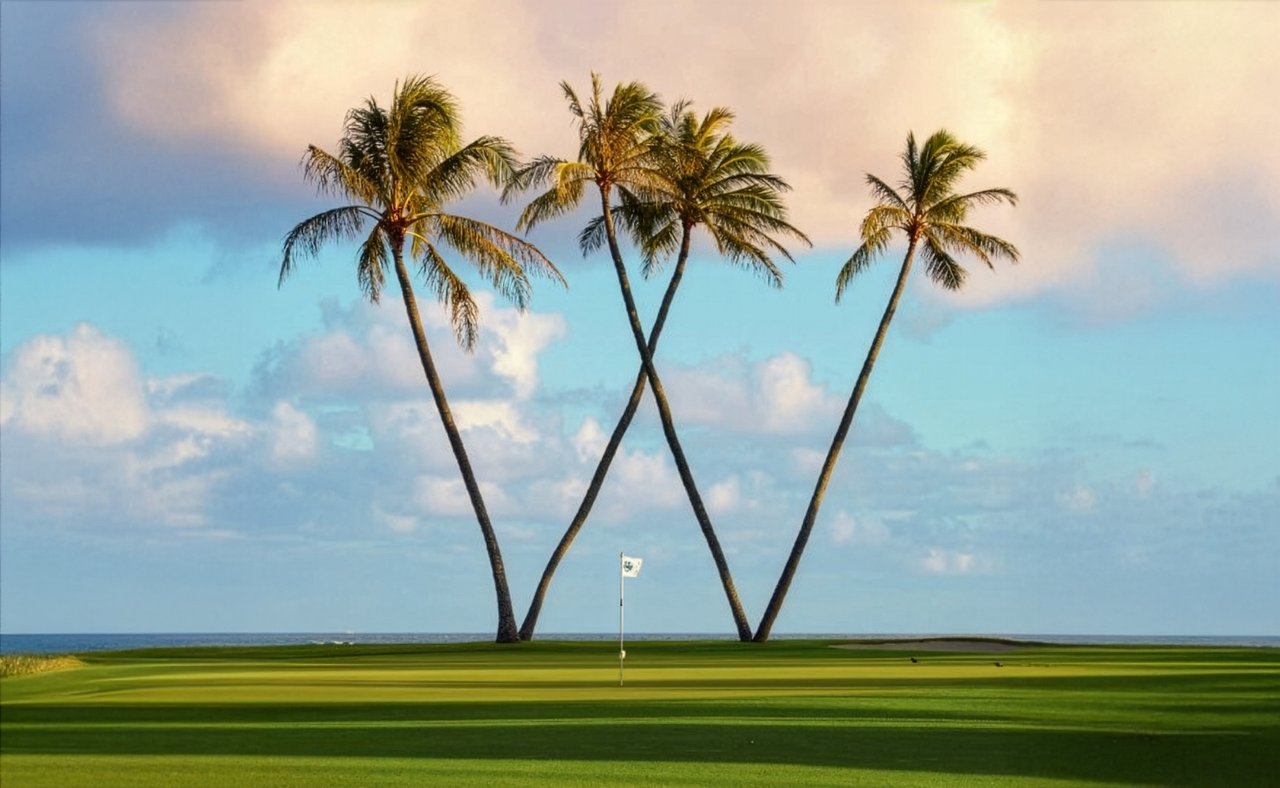 Sony Open