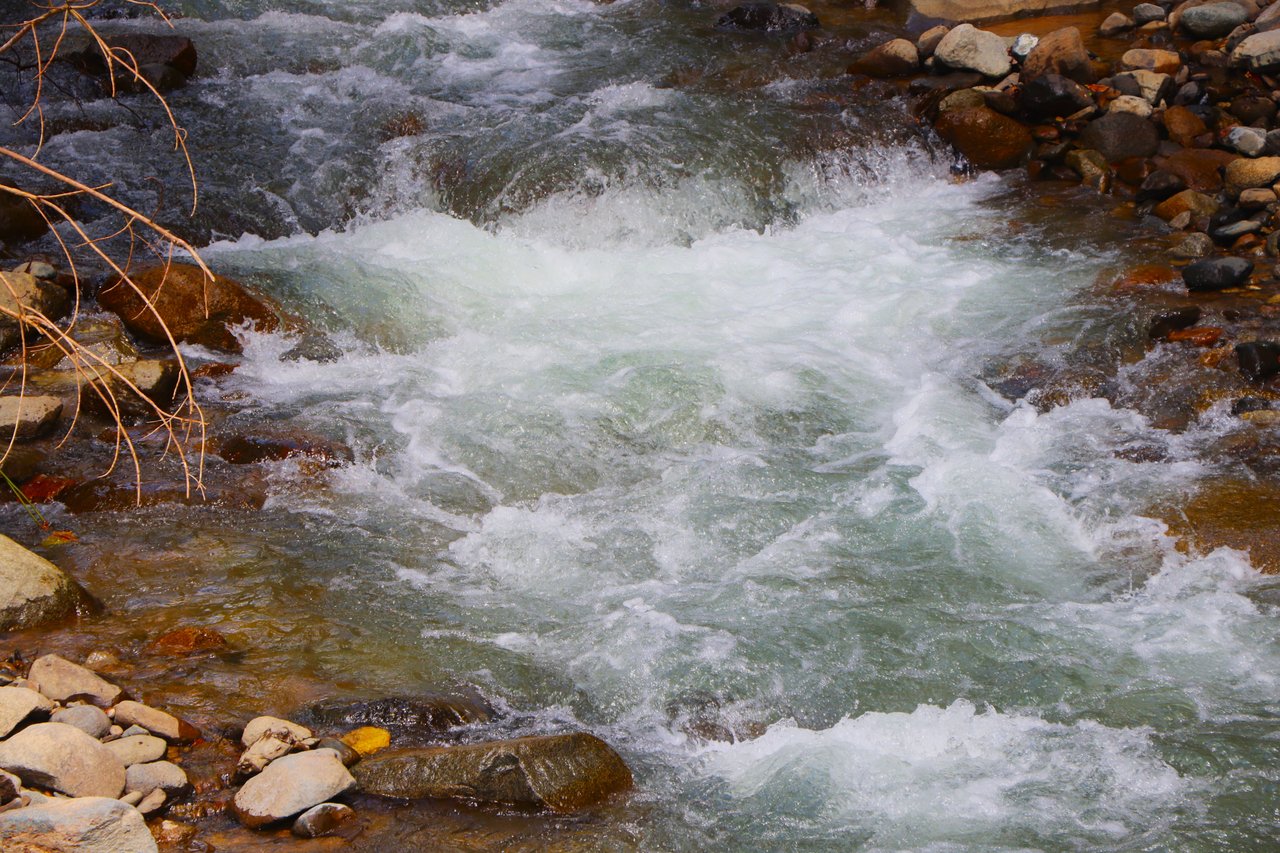FIRE SALE! Jungle, Rivers, a Waterfall and Panoramic Ocean View