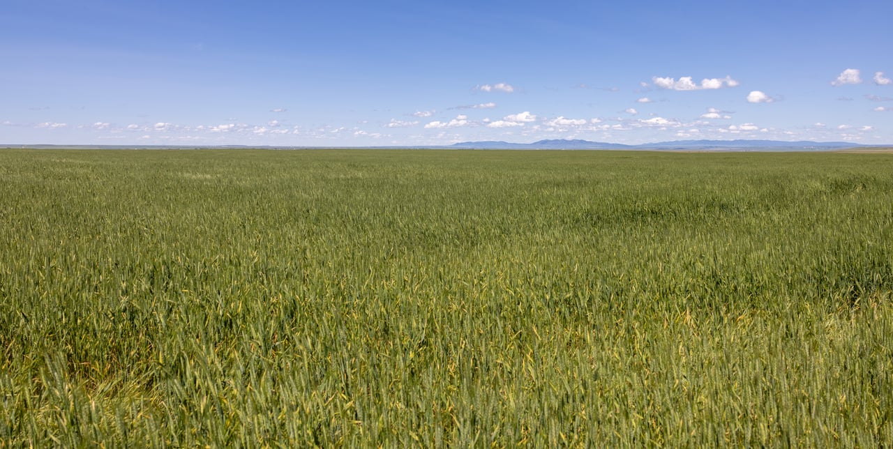 Hauck Coulee Ranch