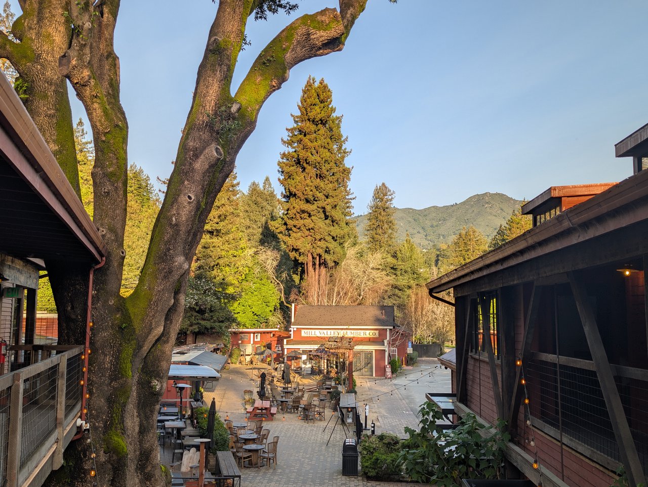 March San Francisco & Marin County Real Estate Market Update — Statistics & Fed Watch cover