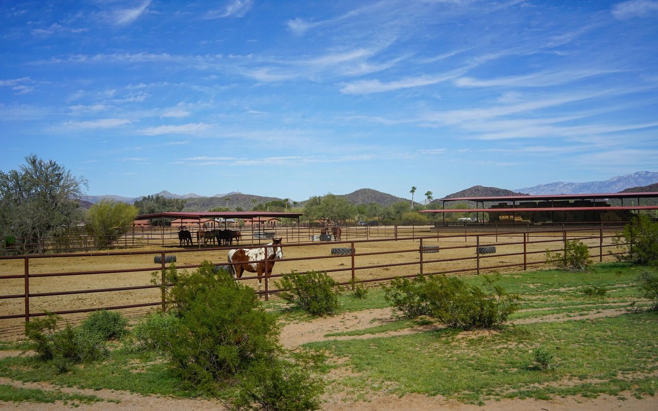 Crawford Equine Center: A Western Colorado Horse Property
