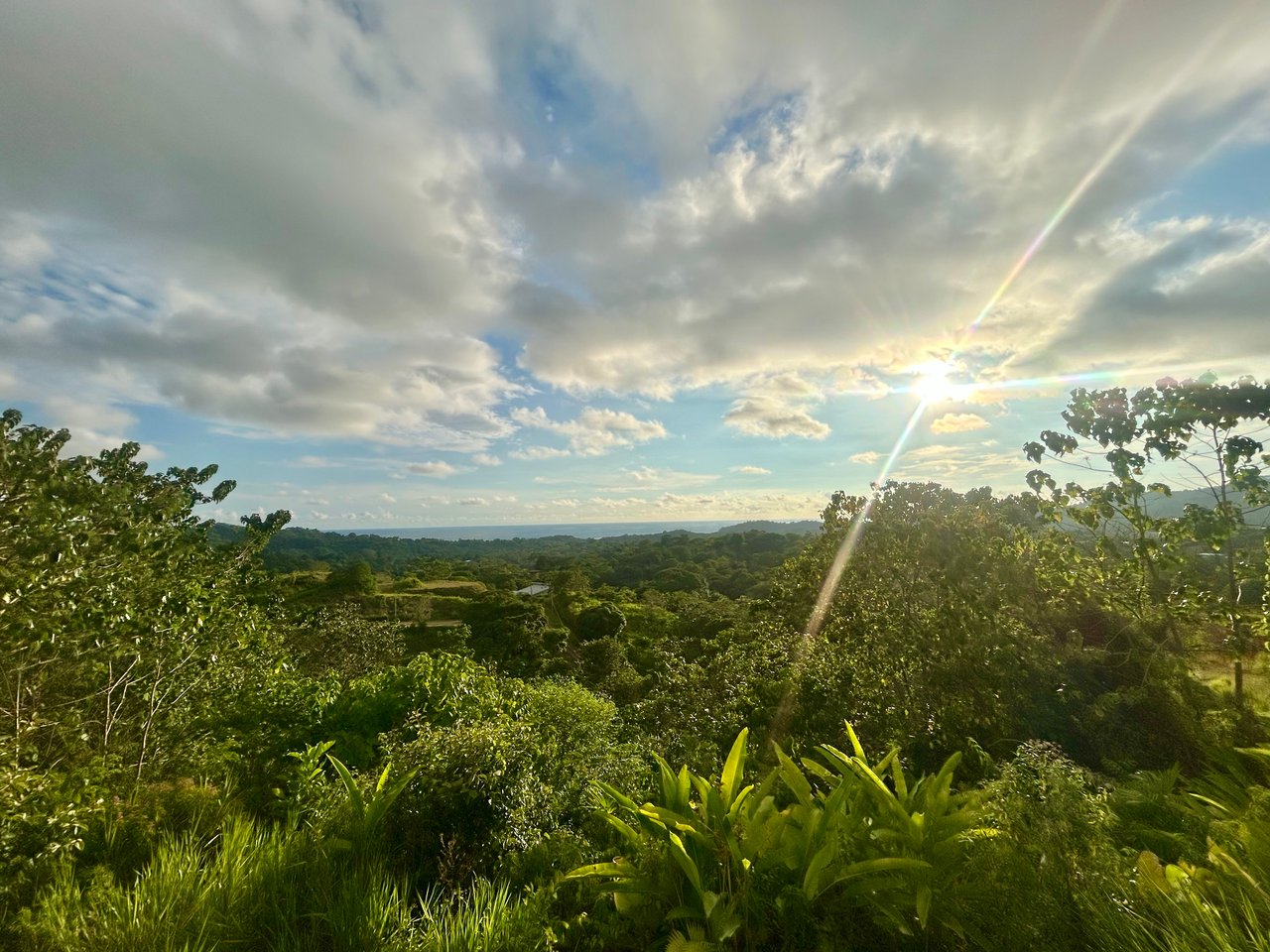 2.77-Acre Ocean View Lot in Phase 11 Ojochal – Ready to Build!
