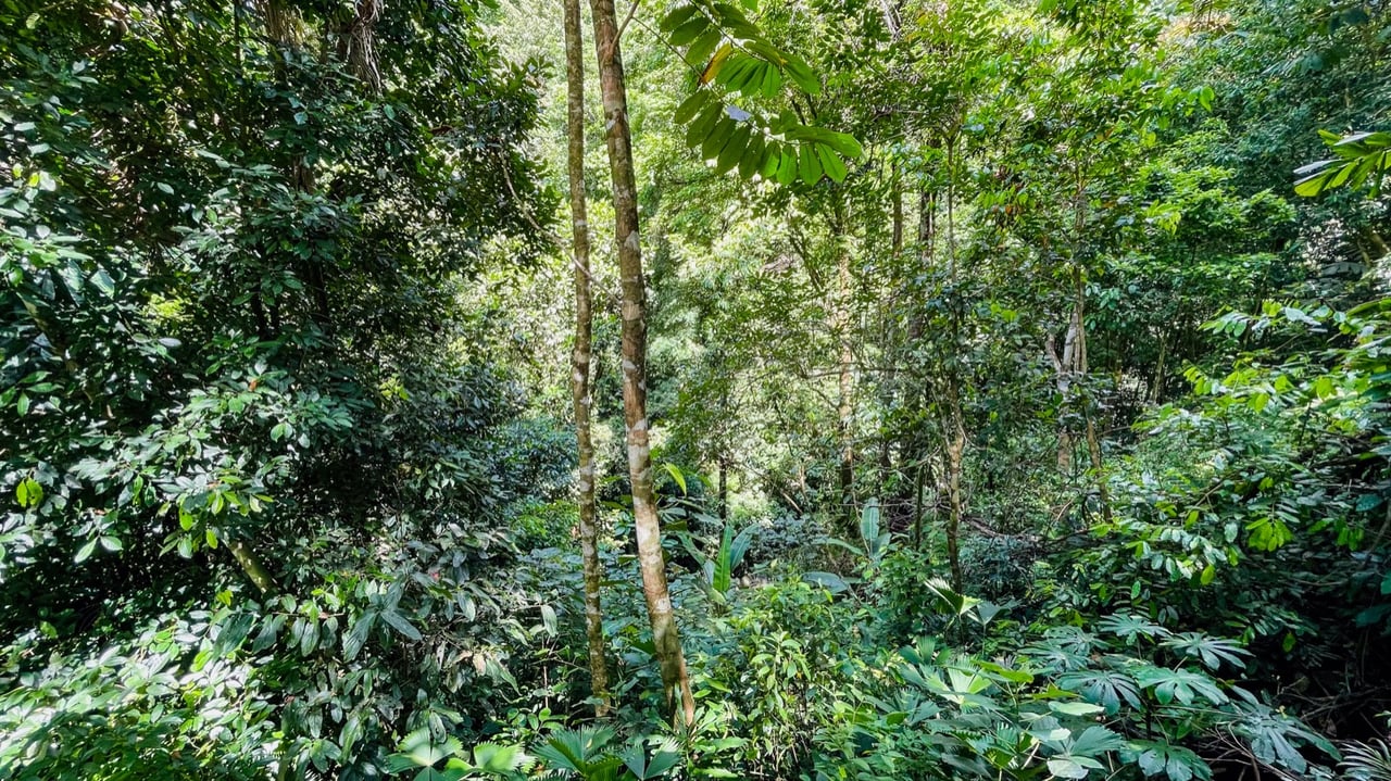 Nature Retreat Estate – Southern Pacific Zone, Costa Rica