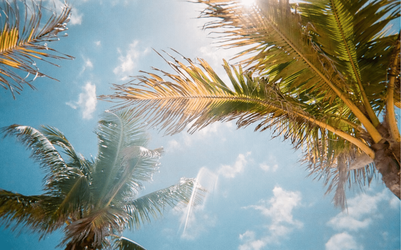 A Day in the Life: What It's Like to Live in Naples, FL