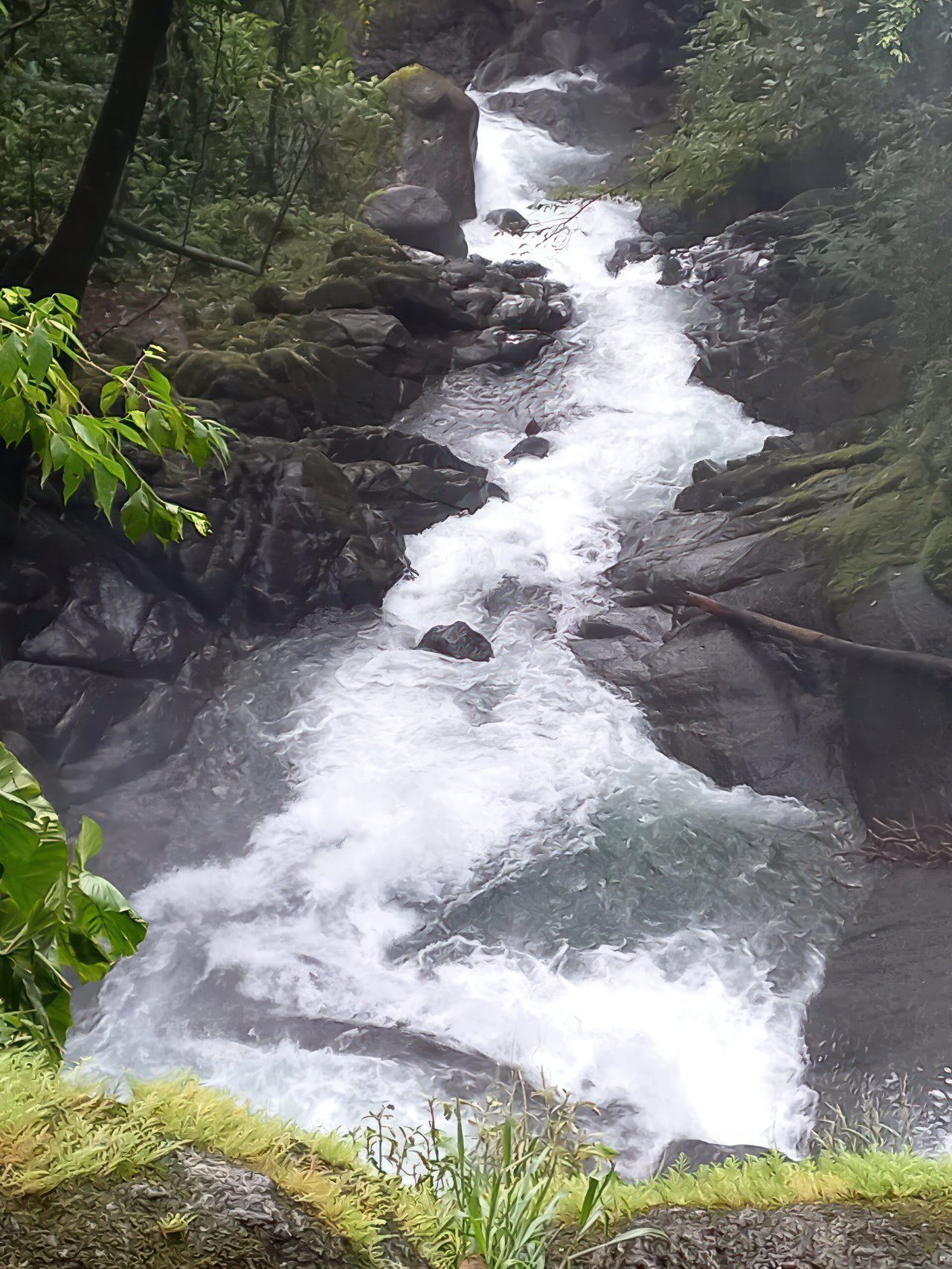 Conservation Only | $1 per Square Meter (61,77 acres)