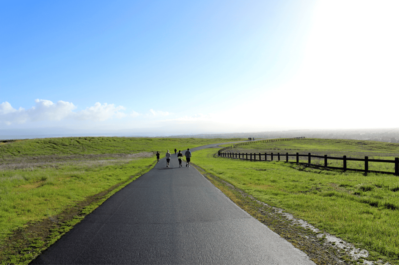 The Best Parks in Palo Alto for Hiking, Picnics, and Relaxation