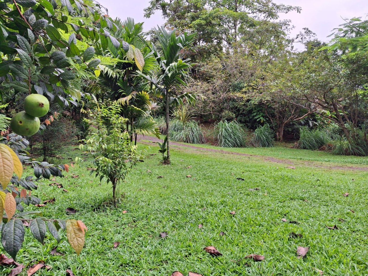 Eco Property Media Luna