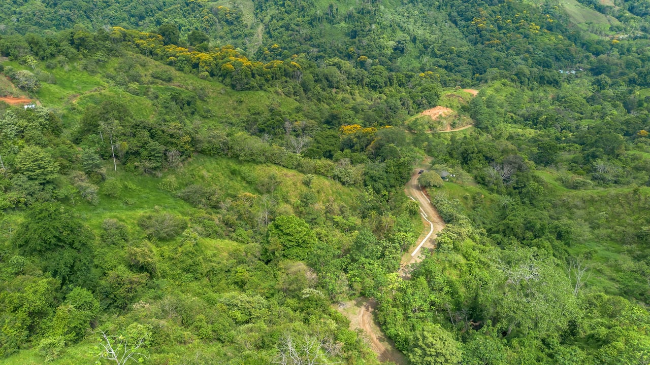 60 Hectares in Platanillo 