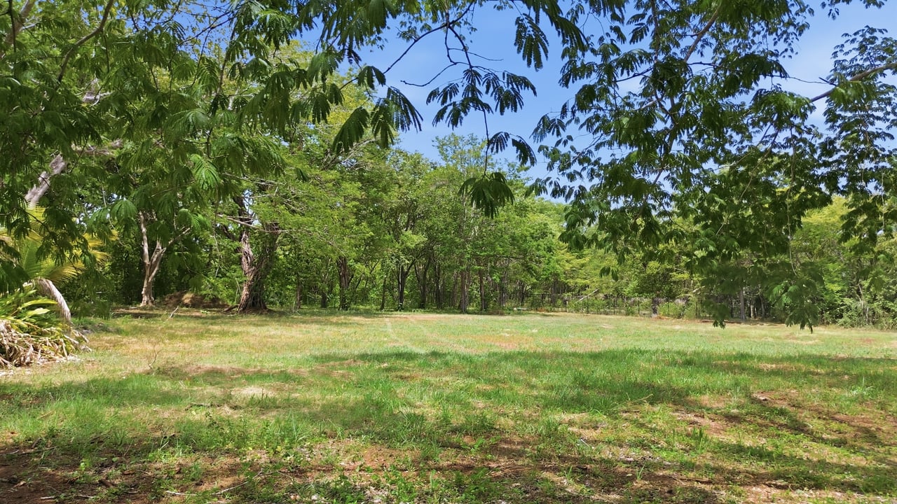 CATALINA COVE LOT FOR SALE 