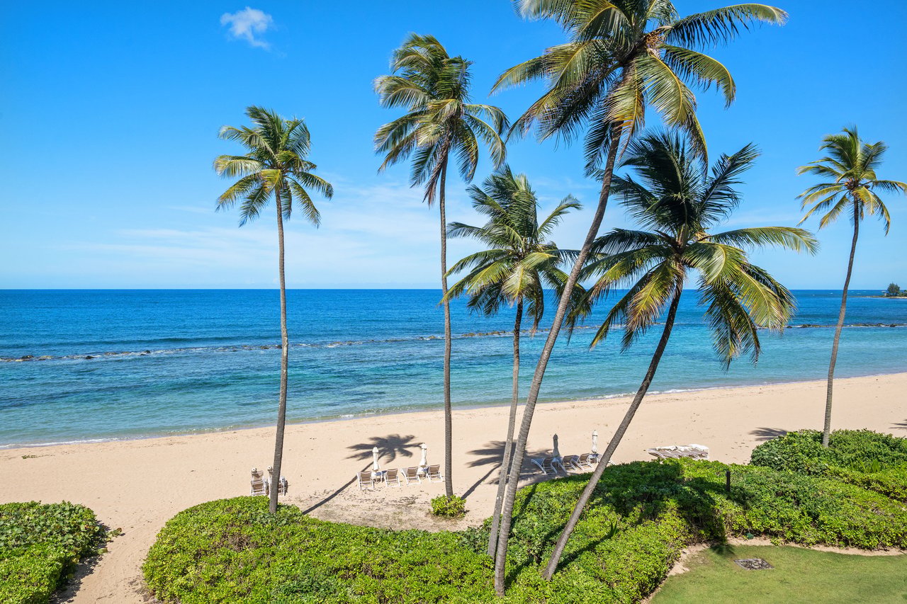 Sandy beach and turquoise ocean framed by tall palms, with lounge chairs along the shore.