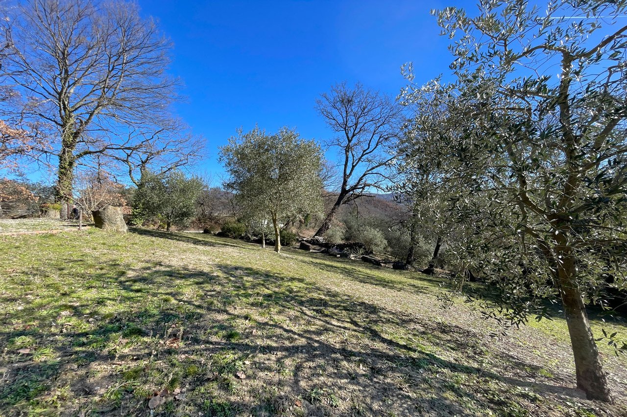 A Charming Stone Farmhouse for Sale in Radicofani