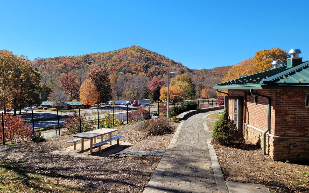 Maggie Valley